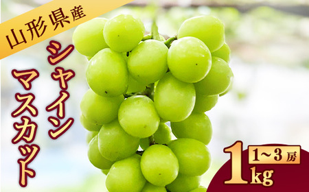 [山形県産] 新鮮 シャインマスカット 1kg(1房 - 3房) [2025年9月中旬〜10月頃発送予定]