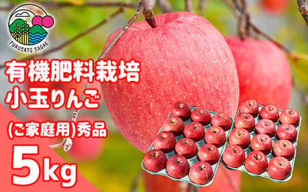 spt񂲁uTӂvGi 5kgi24ʁj ʃTCYy2025N12{`{\z@012-B-HK008