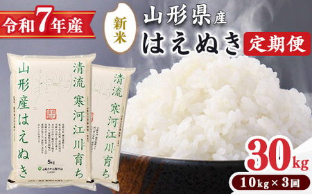 [ 2025年10月より隔月3回 ][令和7年産 定期便]はえぬき計30kg!お米 定期便(10kg×3回)!清流寒河江川育ち 山形産はえぬき 2025年産 058-C-JA012-2025-10隔