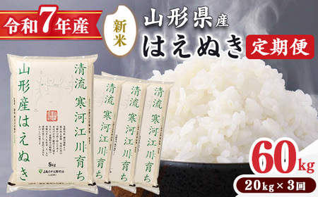 [ 2025年10月下旬より隔月3回 ][令和7年産 定期便]はえぬき計60kg!お米 定期便(20kg×3回)!清流寒河江川育ち 山形産はえぬき 2025年産 115-C-JA014-2025-10下