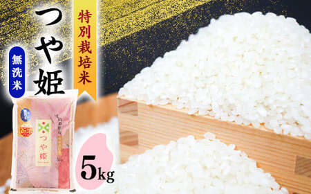 �y2026�N2�������z������ �u��P�v 5kg �s���ʍ͔|�āt�ߘa7�N�Y 2025�N�Y �^ �l�C ������ �֗� �ߐ� �u�����h�� ���͂� ���� ���� �_�ƒ��� ���Y�Ғ��� �R�`�Y �R�`���Y �R�`�� ���͍]�s 5�L