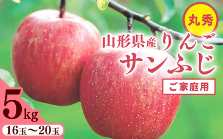 りんご 5kg「サンふじ」 丸秀品 (16 - 20玉) [家庭用]山形県産[2025年11月中旬頃 - 12月頃発送予定]