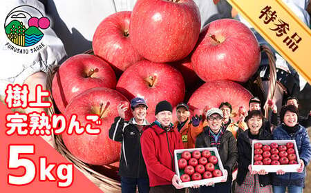 ߘa7NY ㊮n񂲁uTӂvGi 5kgi14`18ʁj 2025NY R`Y y2025N12{`{\z@024-B-HK010