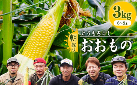 朝採り 農家直送 とうもろこし 3kg「おおもの」(6 - 9本) 山形産 [2025年8月上旬頃から9月下旬頃発送予定]