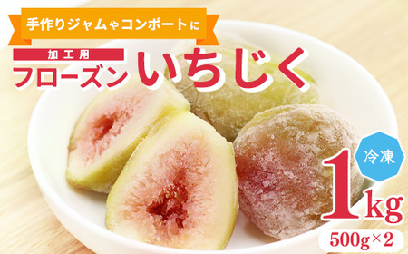 加工用 フローズン いちじく 1kg( 500g × 2袋 ) [2025年9月中旬から12月頃発送予定]