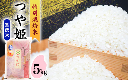 [2025年9月配送][令和6年産][ 特別栽培米 ] 無洗米 つや姫 5kg 山形県産 015-C