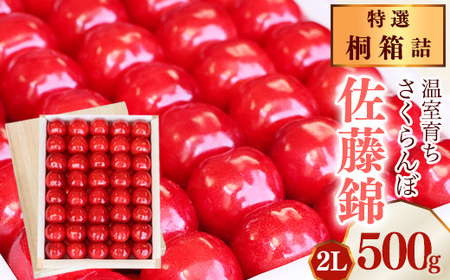 �s��s�\��t�ߘa8�N�Y ���I �����炿 �������� ������ 2L ���G�i 500g �˔��l�i���A�X�`���[������j2026�Y �R�`���Y�y2026�N5����{���`5�����{�������\��z�� �z���s�� ����E�����@350-A-MZ