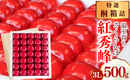 [先行予約]令和8年産 特選 温室育ち さくらんぼ 紅秀峰 3L 特秀品 500g 桐箱詰(発泡スチロール梱包)2026産 山形県産[2026年5月上旬頃〜5月下旬頃発送予定]※ 配送不可 沖縄・離島