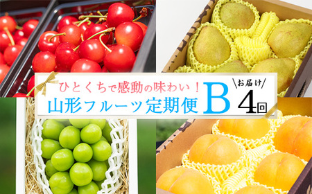 �s��s�\��t���G�iB�R�[�X�y�����4��z�t���[�c����� �������� �g�G�� ����  �V���C���}�X�J�b�g �m�� ���l�[�W�� �ߘa8�N�Y �R�`���Y�y2026�N6�����{�����甭���J�n�\��z���z���s��