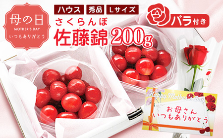 [先行予約]母の日[温室栽培]さくらんぼ 「 佐藤錦 」秀品 Lサイズ 200g(100g×2パック)バラ付き(生花)令和8年産 山形県産 [2026年5月7日・8日・9日 発送予定] ※配送不可 沖縄・離島