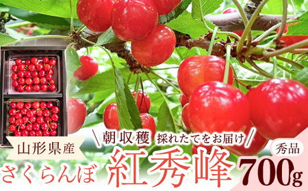 �y��s�\��z�ߘa8�N�Y �������� �g�G�� L�T�C�Y�ȏ� �G�i 700g �i350g×2�p�b�N�j 2026�Y �R�`���Y �y2026�N6�����{���`7�����{�������\��z���z���s�� ����E�����@024-A-RF001