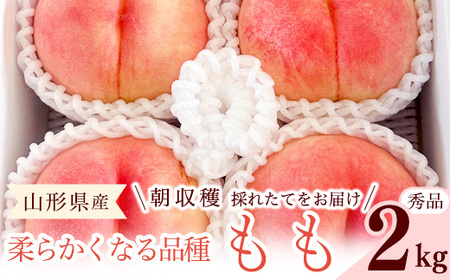 先行予約 令和8年産 山形の桃 やわらかくなる白桃 秀品 2kg 品種おまかせ 2026年産 山形県産[2026年8月上旬頃〜9月下旬頃発送予定]※配送不可 沖縄・離島
