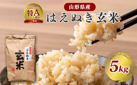 [令和8年産]はえぬき 玄米 5kg(5kg×1袋)2026年産 山形県産 [2026年9月下旬頃より発送予定] 012-C-JF039-R8