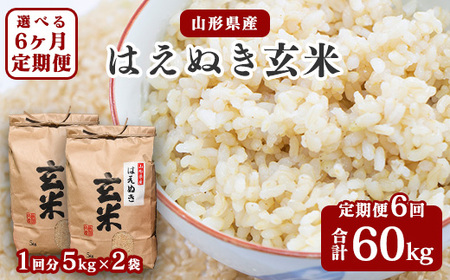[令和8年産][6回定期便:10月開始毎月コース] はえぬき 玄米 合計60kg (10kg(5kg×2袋)× 6回) 山形県産 [ 新米 ] 120-C-JF017-毎月-R8