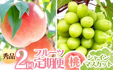 [先行予約]令和8年産 フルーツ 2回 定期便 桃 シャインマスカット 秀品 山形県産 [2026年8月上旬頃から発送開始予定]※配送不可 沖縄・離島