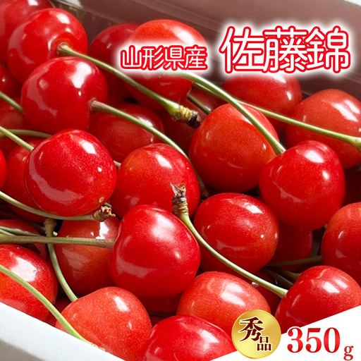 令和8年産 さくらんぼ 佐藤錦 Lサイズ以上 350g バラ詰 山形県産【2026年6月上旬頃から下旬頃発送予定】※配送不可 沖縄・離島　 012-A-OR005