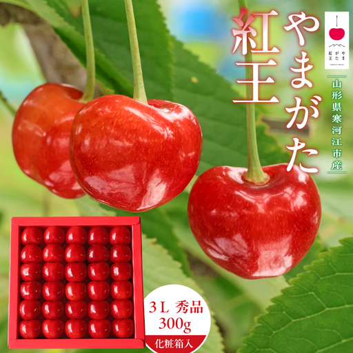 [先行予約] 令和8年産 さくらんぼ やまがた紅王 3Lサイズ 秀品 300g 化粧箱入 2026産 山形県産[2026年6月中旬頃〜6月下旬頃発送予定]※配送不可 沖縄・離島