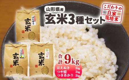 [減農薬栽培]玄米3銘柄 食べ比べセット合計9kg「はえぬき・つや姫・つきあかり」(各3kg×1袋ずつ)2022年産 令和4年産 新米