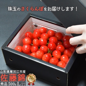 令和8年産 さくらんぼ 「佐藤錦」Lサイズ以上 秀品 500g バラ詰め 山形県産 2026年産 【2026年6月上旬頃～下旬頃発送予定】 ※配送不可 沖縄・離島 018-A-CS008