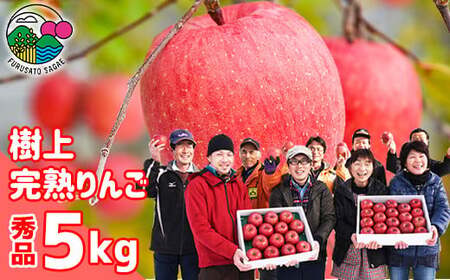令和7年産 樹上完熟りんご「サンふじ」 5kg(14〜18玉) 秀品 2025年産 山形県産 [2025年12月上旬頃〜下旬頃発送予定]