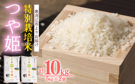 特別栽培米 「つや姫」 10kg（5kg×2袋）令和5年産 2023年産 山形産　018-C-JA023-00