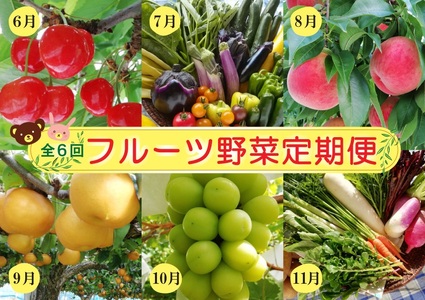 【定期便：全６回】フルーツと無農薬野菜の定期便　0148-2501