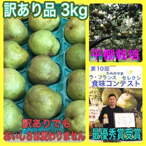 miEtXjR@ƒp@0102-2503