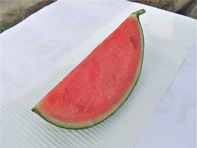 ʂismK[jR`U@0030-2609