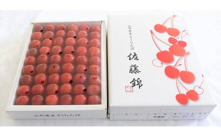 {ځiсjP.Q@l߁@0060-2603