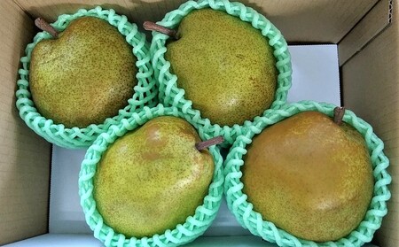 miEtXjQ@Sʁ@ƒp@0042-2511