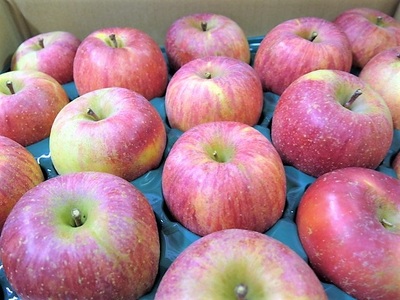 yQOQUNP甭z񂲁itƂ炸TӂjT@ƒp@0075-2515