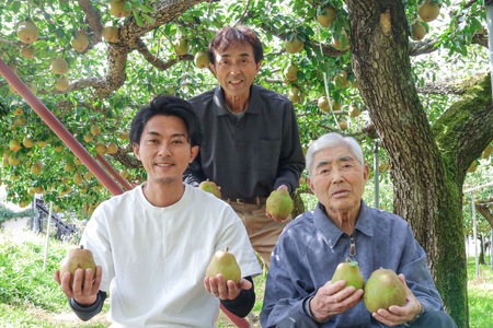 西洋梨（ラ・フランス）３.４ｋｇ　ご家庭用　0078-2505