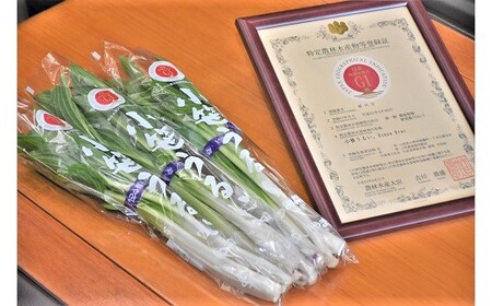 yłIׂȂ؁zfho^u邢v(In͔|)@PTO×W܁@0060-2601