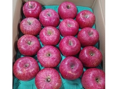 񂲁iTӂjT@W`PUʁ@ƒp@0030-2513