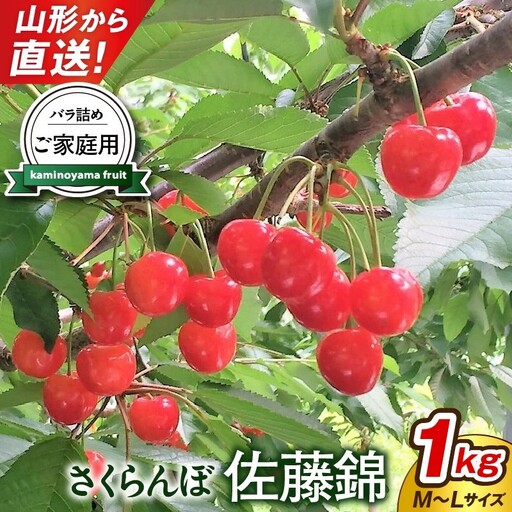 さくらんぼ（佐藤錦）１ｋｇ　ご家庭用　0079-2601