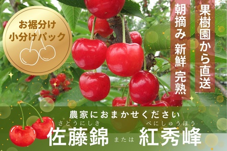 さくらんぼ(佐藤錦か紅秀峰)1kg ご家庭用
