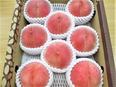 旬の桃 3kg
