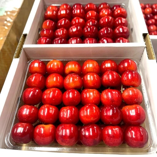 さくらんぼ（紅秀峰）４００ｇ×２パック　２Ｌ　並び詰め　0049-2605