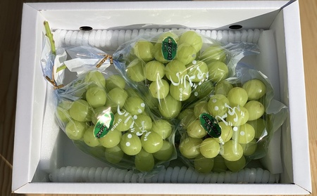 シャインマスカット 2〜3房 合計1.5kg ご家庭用