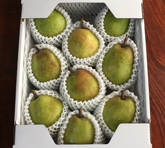 西洋梨(ラ・フランス)3kg 8〜11玉 特秀品 化粧箱入