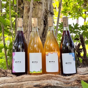 ワイン4本セット Nora NISIGO[Goethe Series -2023-]
