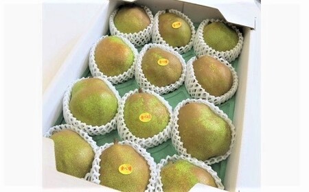 miEtXjU@p@0075-2510