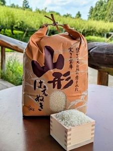 [定期便]令和7年産 はえぬき(精米)5kg×6か月連続お届け