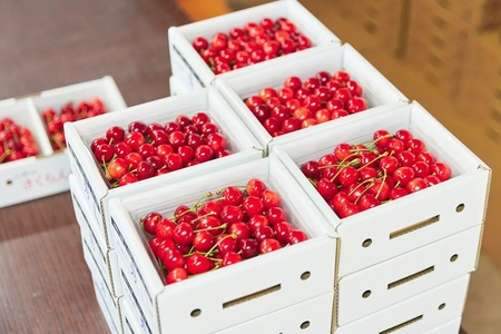 ځiтgGjTOO@Gi@0052-2601