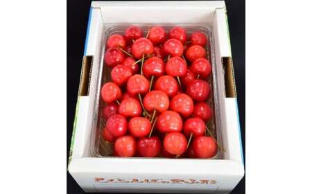 さくらんぼ(佐藤錦か紅秀峰)500g 秀品