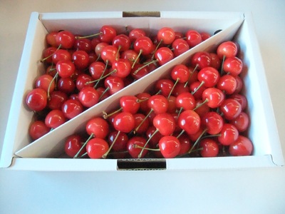 ځiтgGjP@Gi@0030-2604