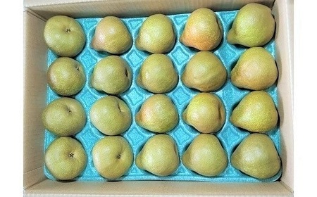 EtX@T@QO`QSʁ@GEGi@0042-2512