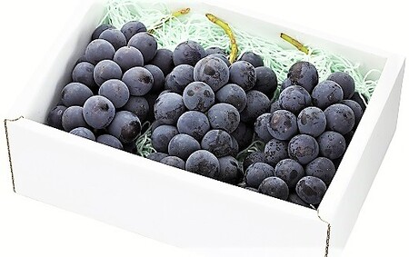 ԂǂisI[ljP.U@0060-2609