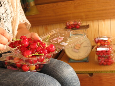 R``F[ĥځiсjQOO×QpbN@ƒp@0075-2601