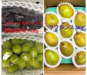 [定期便:全2回]フルーツセット(シャインマスカット入詰め合わせぶどう、ラ・フランス)